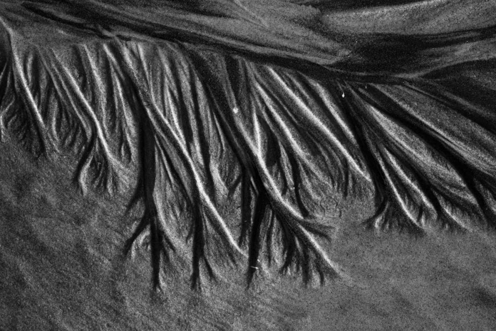 Wall Art Painting id:2807, Name: Texture Sand II, Artist: Peterson, Lee