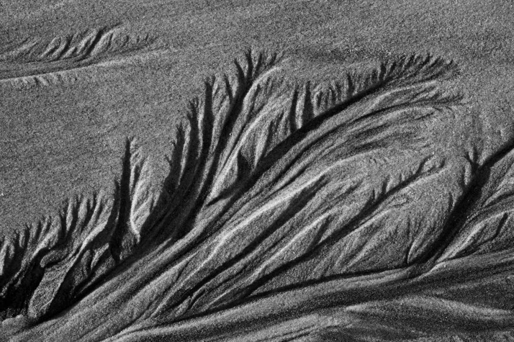 Wall Art Painting id:2808, Name: Texture Sand III, Artist: Peterson, Lee