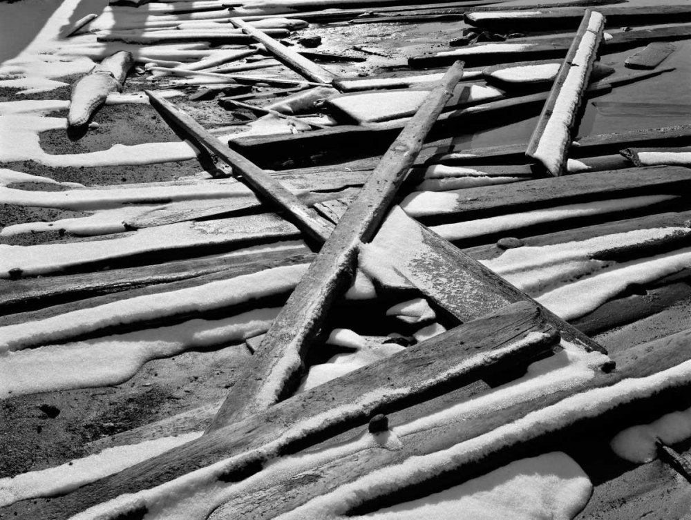 Wall Art Painting id:2814, Name: Tahoe Snow II, Artist: Peterson, Lee