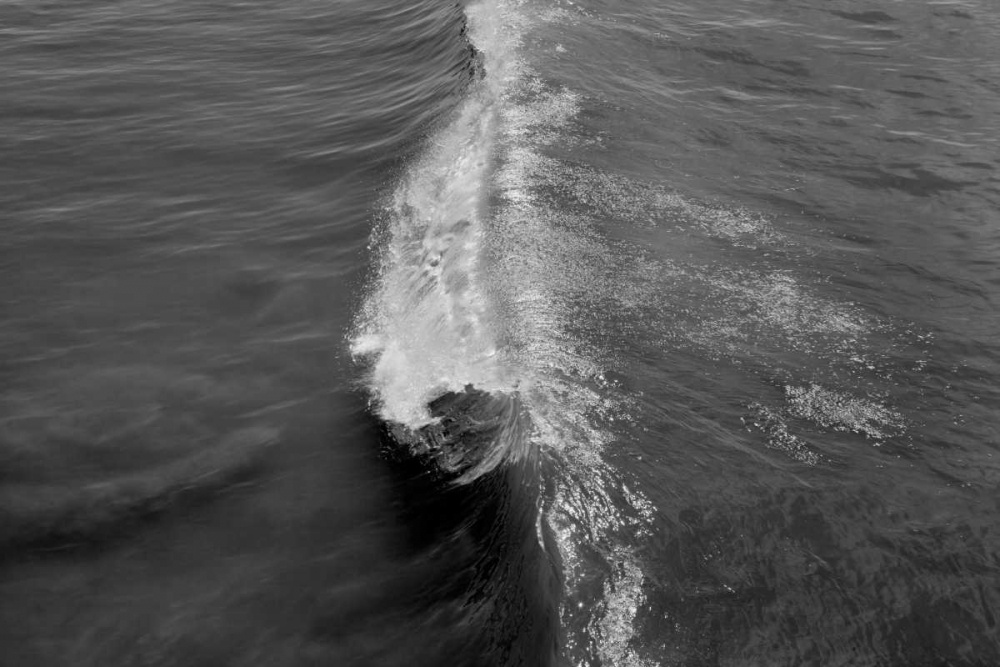 Wall Art Painting id:2815, Name: Wave I, Artist: Peterson, Lee