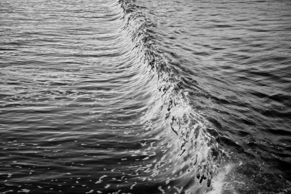 Wall Art Painting id:2816, Name: Wave II, Artist: Peterson, Lee