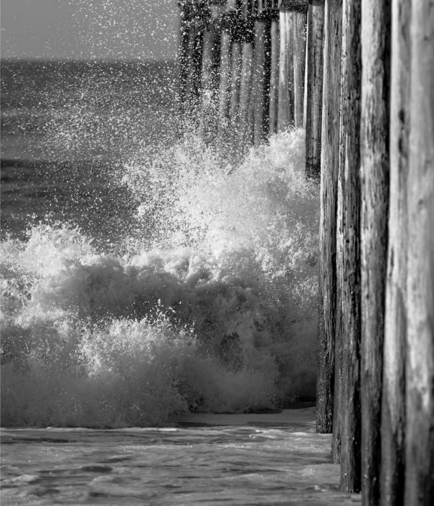 Wall Art Painting id:2821, Name: Wave VII, Artist: Peterson, Lee