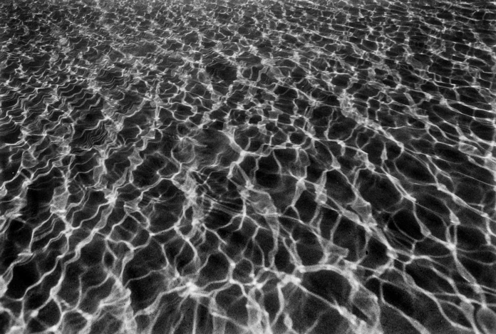 Wall Art Painting id:2822, Name: Underwater I, Artist: Peterson, Lee