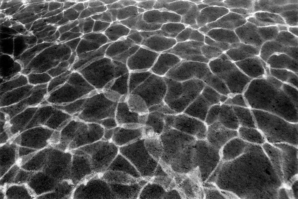 Wall Art Painting id:2823, Name: Underwater II, Artist: Peterson, Lee