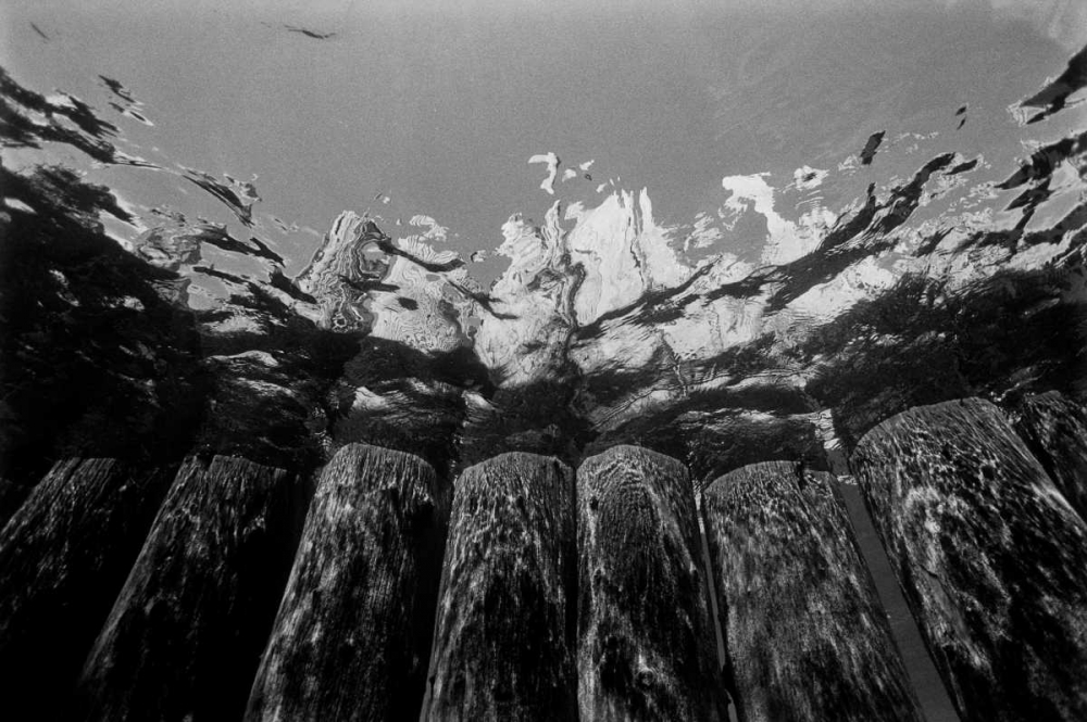 Wall Art Painting id:2827, Name: Pier Pilings I, Artist: Peterson, Lee