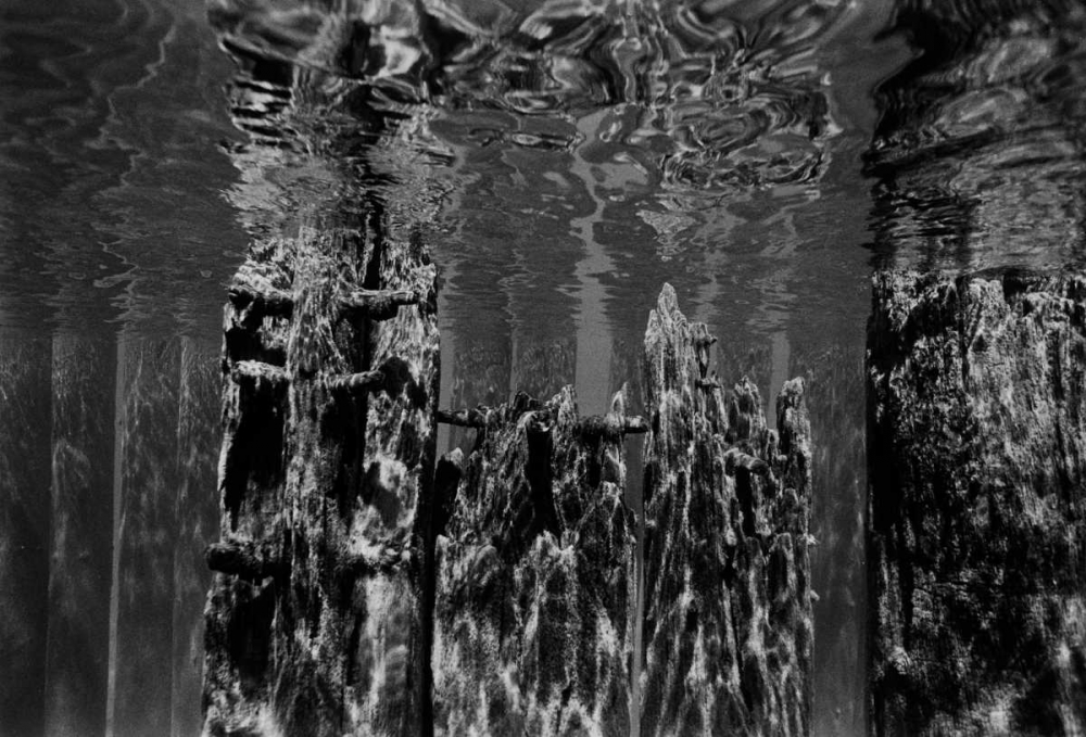 Wall Art Painting id:2828, Name: Pier Pilings II, Artist: Peterson, Lee