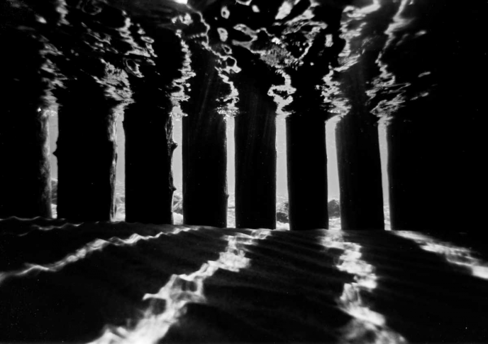 Wall Art Painting id:2830, Name: Pier Pilings IV, Artist: Peterson, Lee