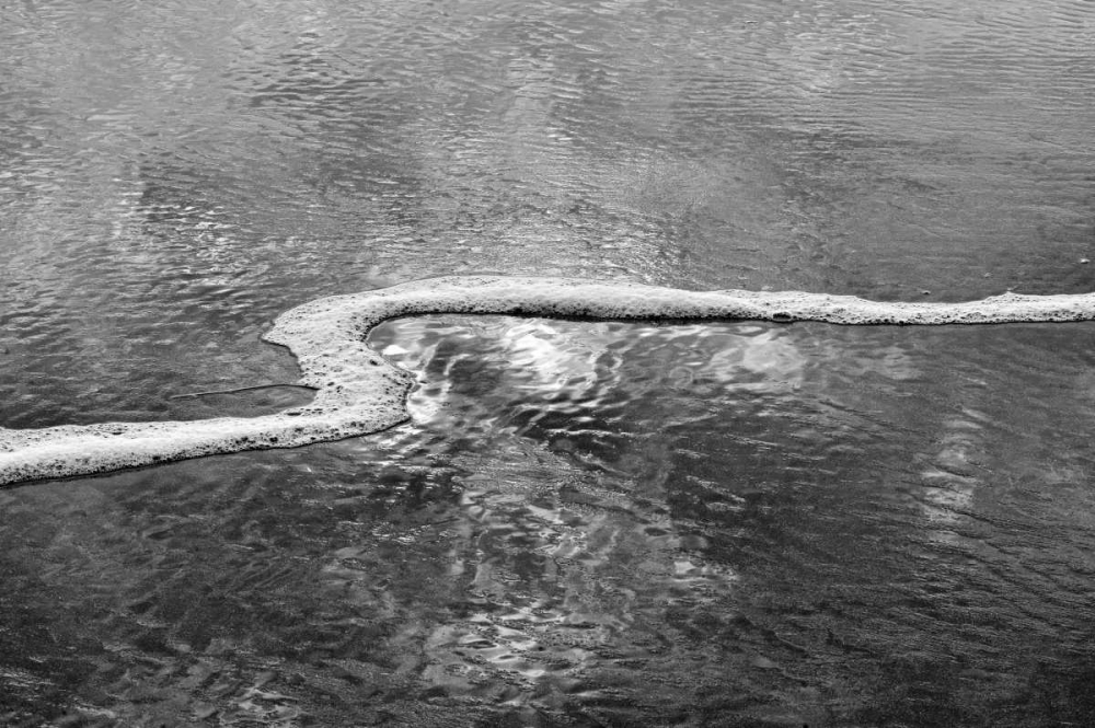 Wall Art Painting id:2831, Name: Beach Reflection II, Artist: Peterson, Lee