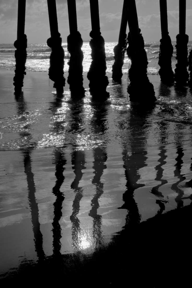 Wall Art Painting id:2837, Name: Pier Pilings IX, Artist: Peterson, Lee