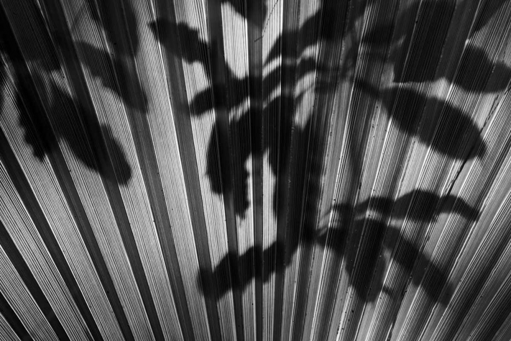 Wall Art Painting id:2853, Name: Shadow III, Artist: Peterson, Lee