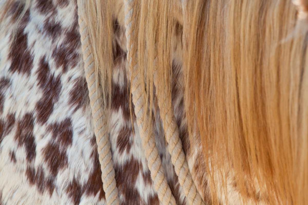 Wall Art Painting id:2916, Name: Horse Up Close II, Artist: Peterson, Lee