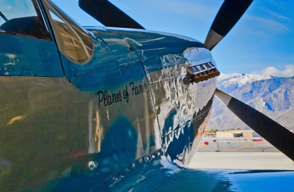 Wall Art Painting id:2920, Name: Aviation II, Artist: Peterson, Lee