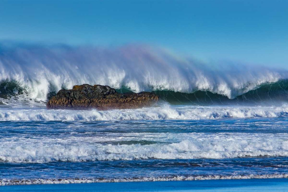 Wall Art Painting id:146517, Name: Waves in Cayucos I, Artist: Peterson, Lee