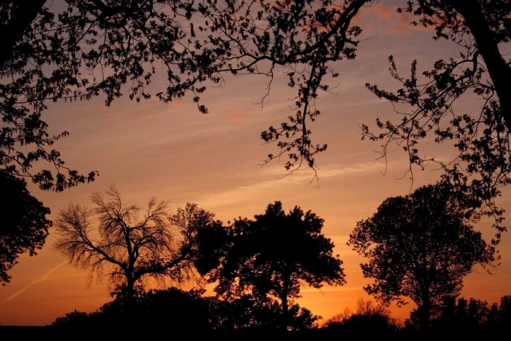 Wall Art Painting id:2952, Name: Unity Sunset, Artist: Putman, Tammy