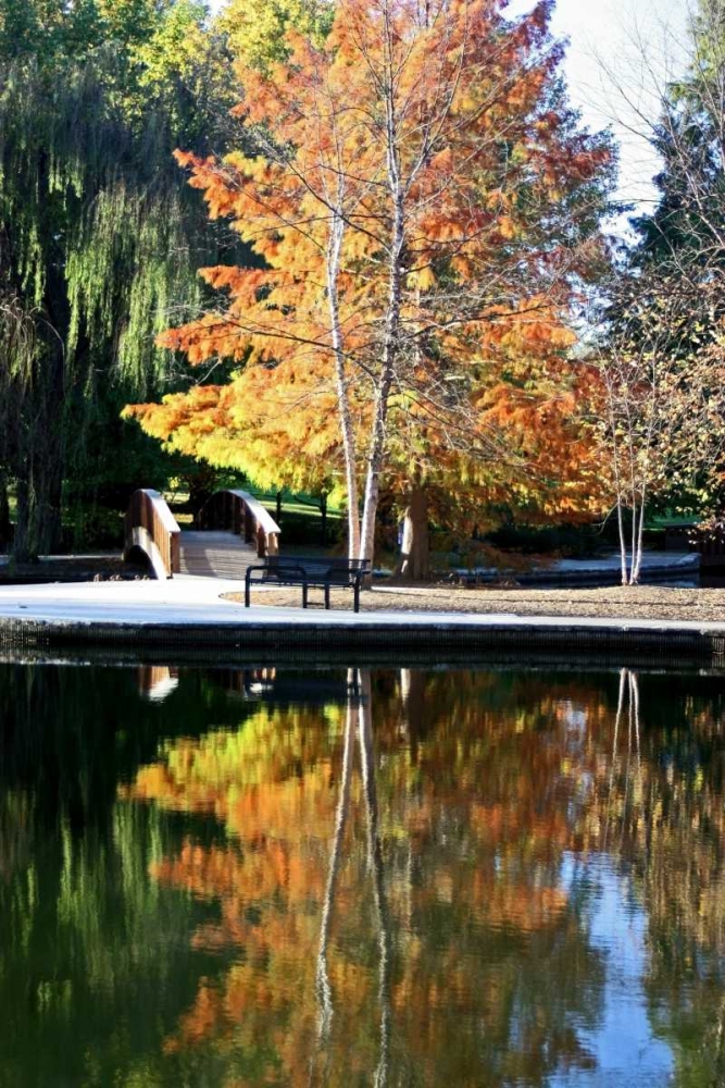 Art Print: Fall Colors