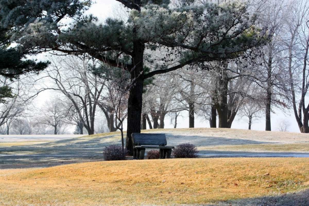 Wall Art Painting id:2959, Name: Bench II, Artist: Putman, Tammy