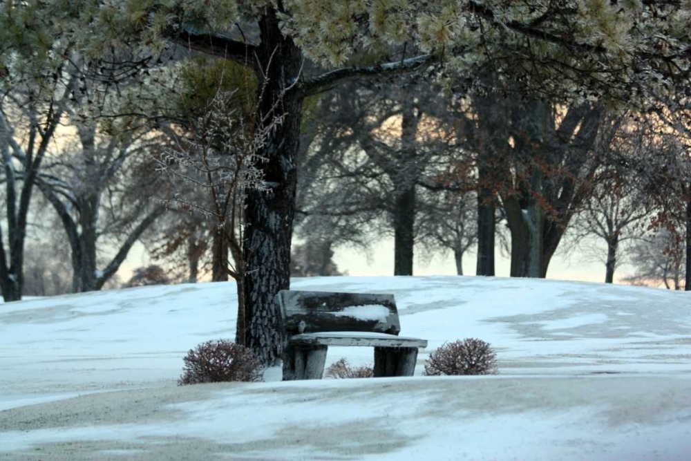 Wall Art Painting id:2960, Name: Bench III, Artist: Putman, Tammy