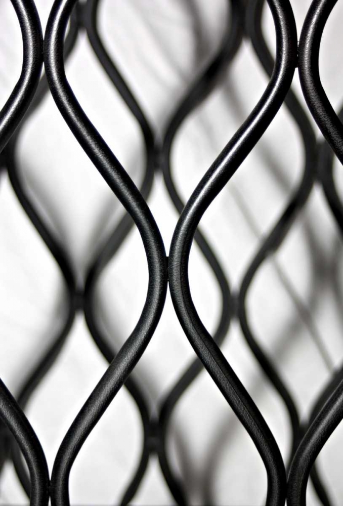 Wall art: Curves II, by Putman, Tammy