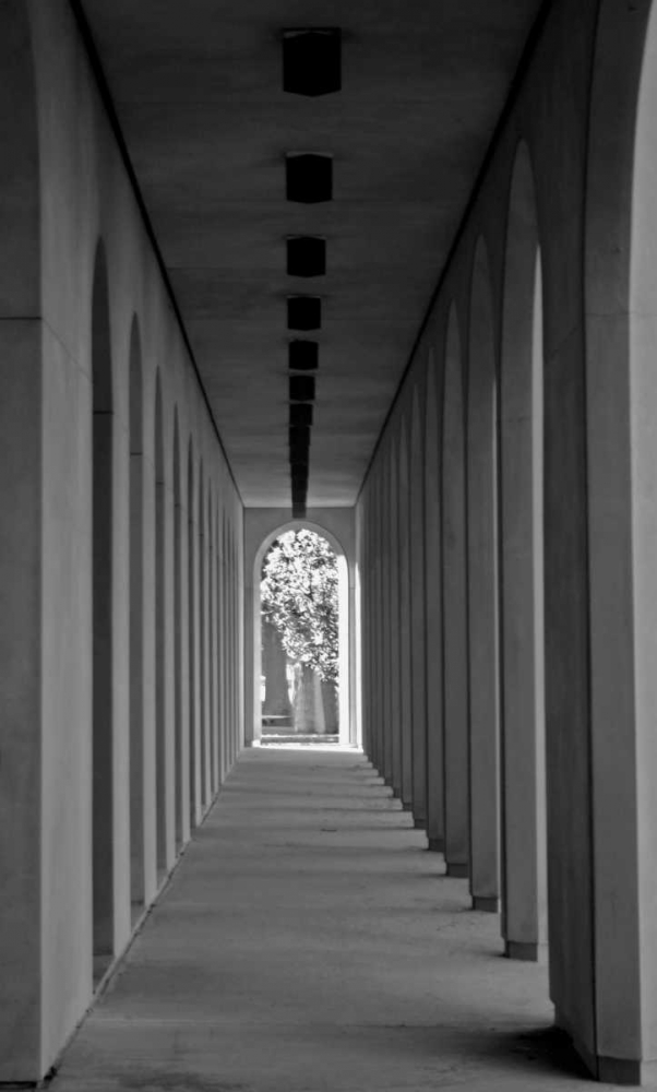 Art Print: The Walkway