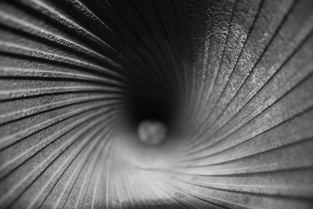 Wall Art Painting id:3006, Name: Inside a Howitzer, Artist: Putman, Tammy