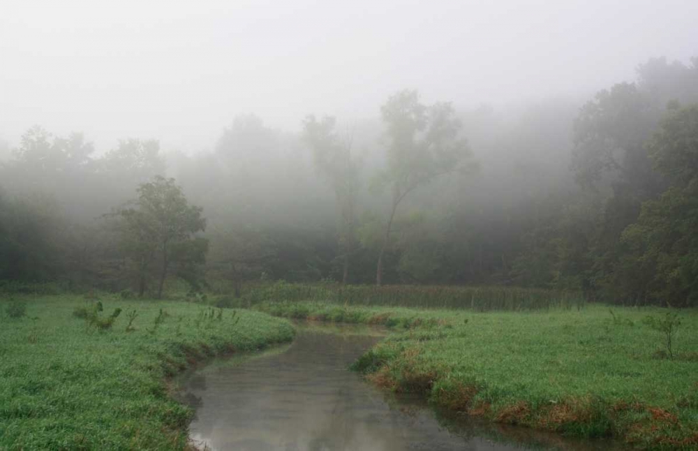 Wall Art Painting id:3035, Name: Creek in Fog I, Artist: Putman, Tammy