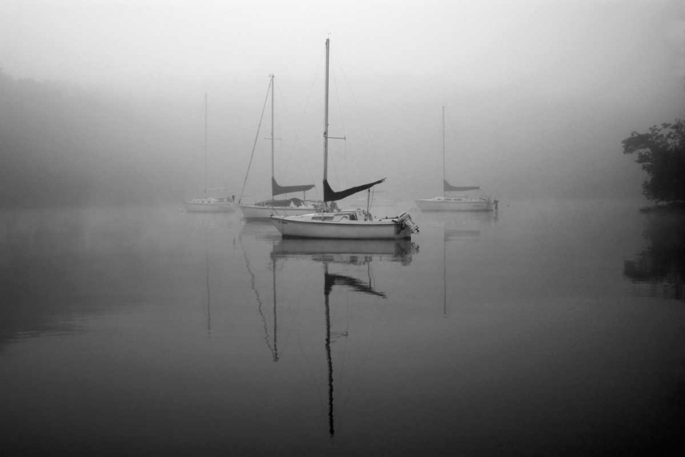 Wall art: In the Fog, by Putman, Tammy