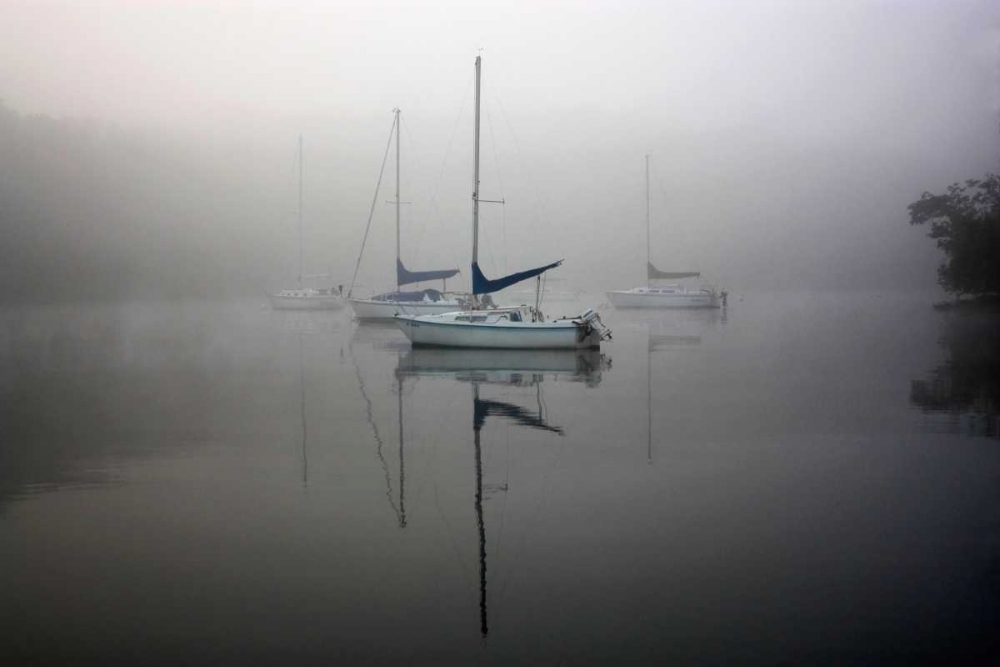 Art Print: In the Fog