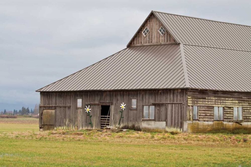 Art Print: Grey Flower Barn