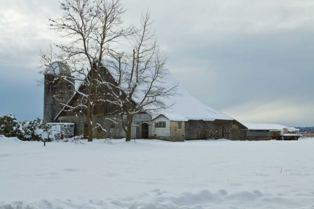 Art Print: Winter Farm