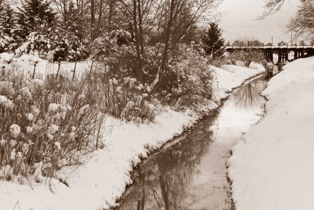 Art Print: Winter Scenic II