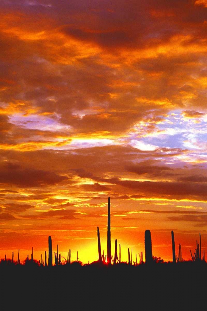 Art Print: Sky a Fire I