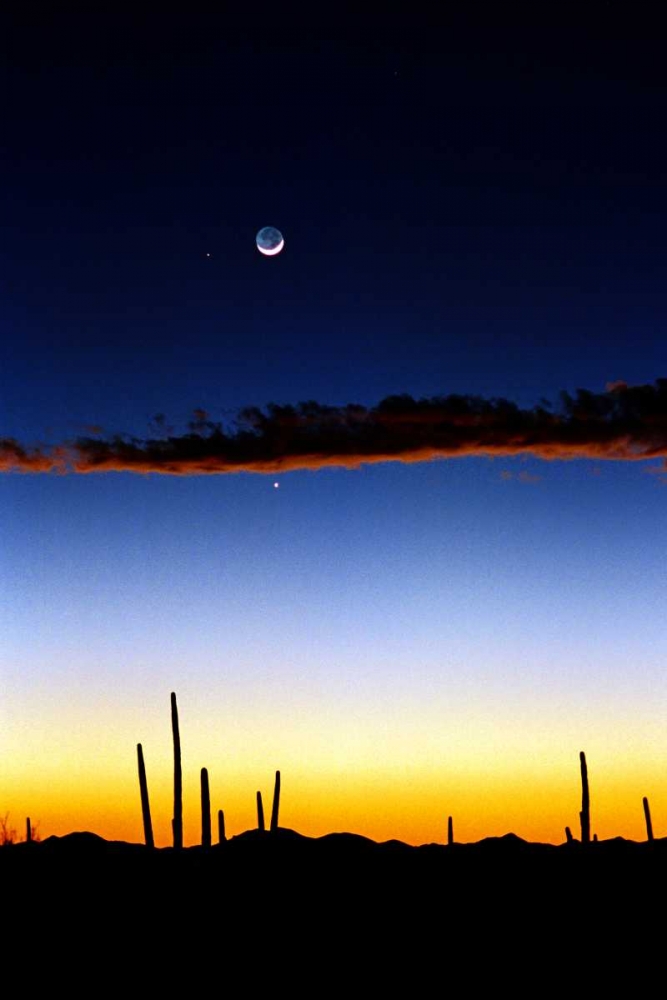 Similar wall art painting: 25157