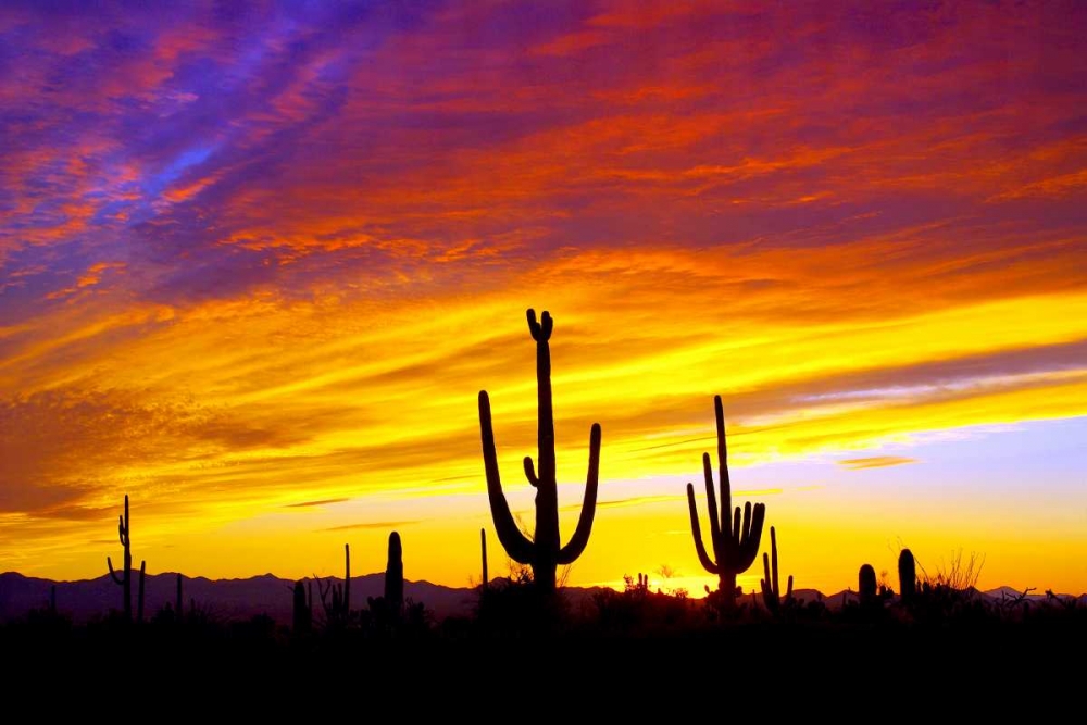 Art Print: Equinox Sunset