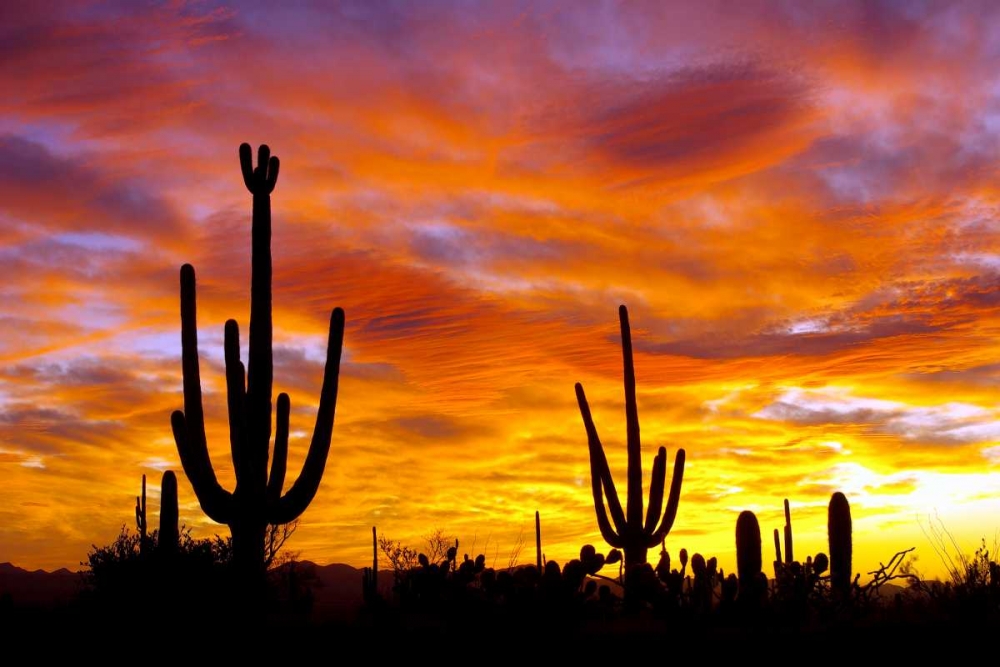 Wall art: October Sunset, by Taylor, Douglas