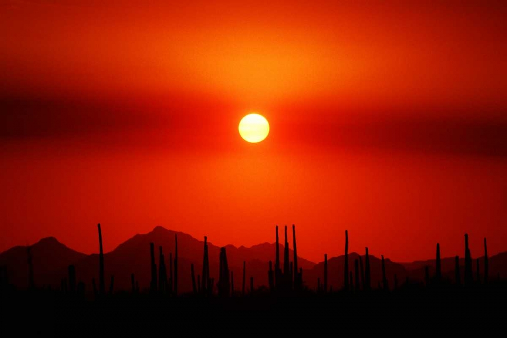 Art Print: Smokey Sunset