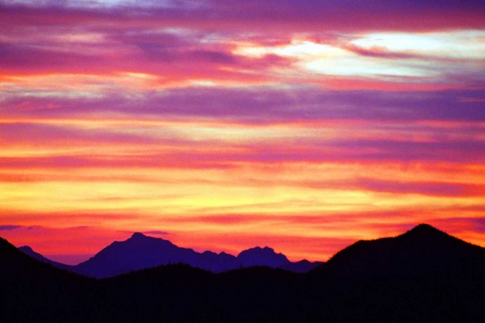 Wall Art Painting id:25162, Name: Lingering Color, Artist: Taylor, Douglas