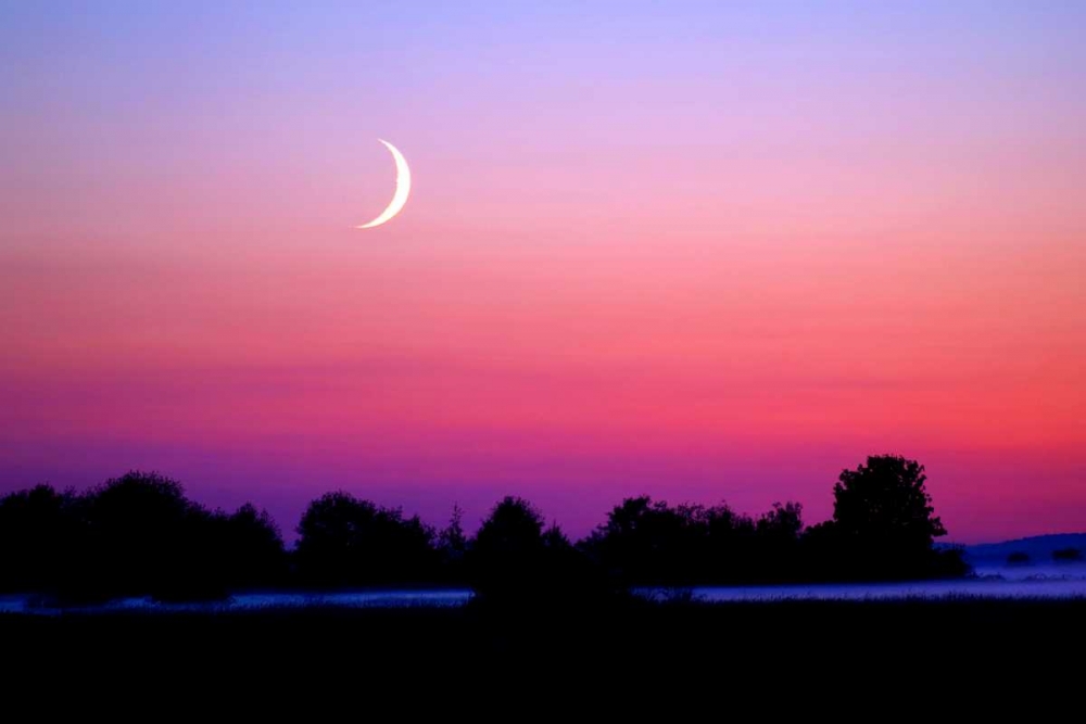Wall art: Crescent at Twilight, by Taylor, Douglas