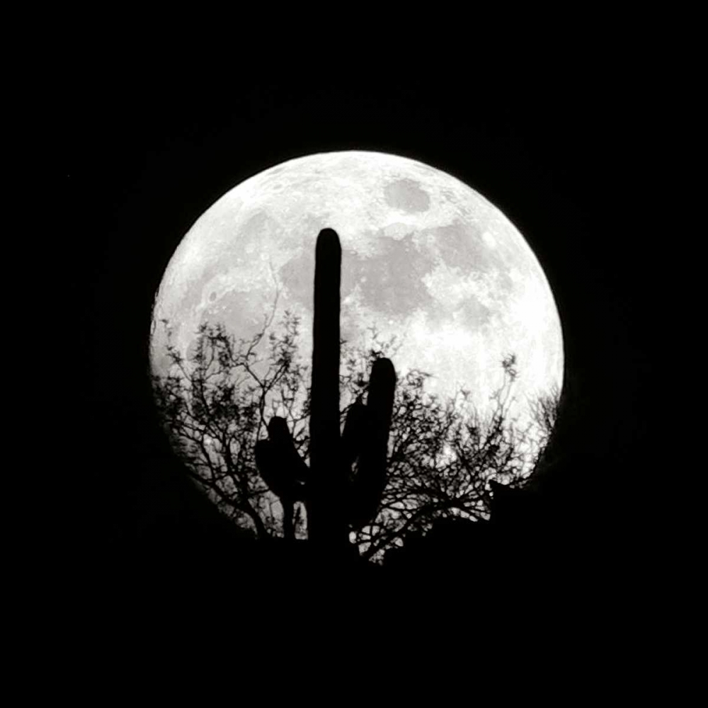 Art Print: Moonrise in May II