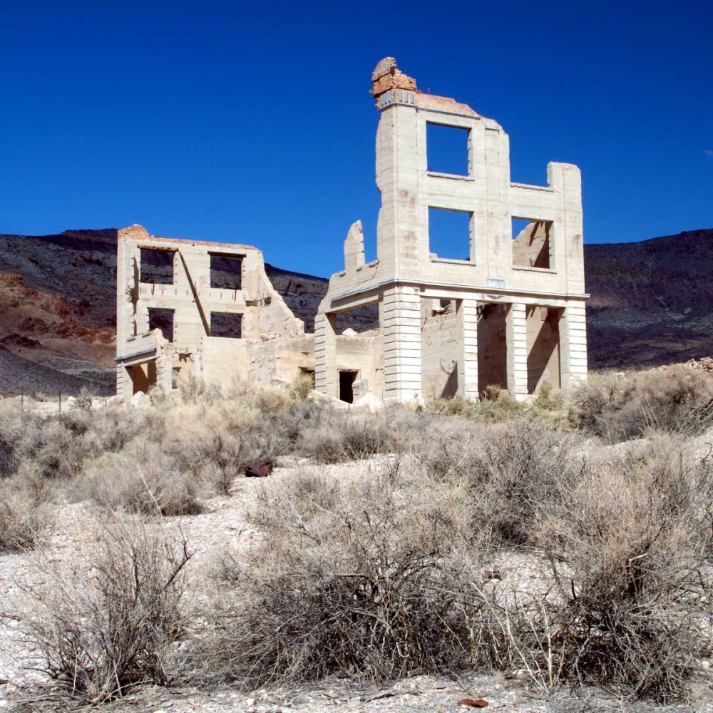 Art Print: Rhyolite Ruin II
