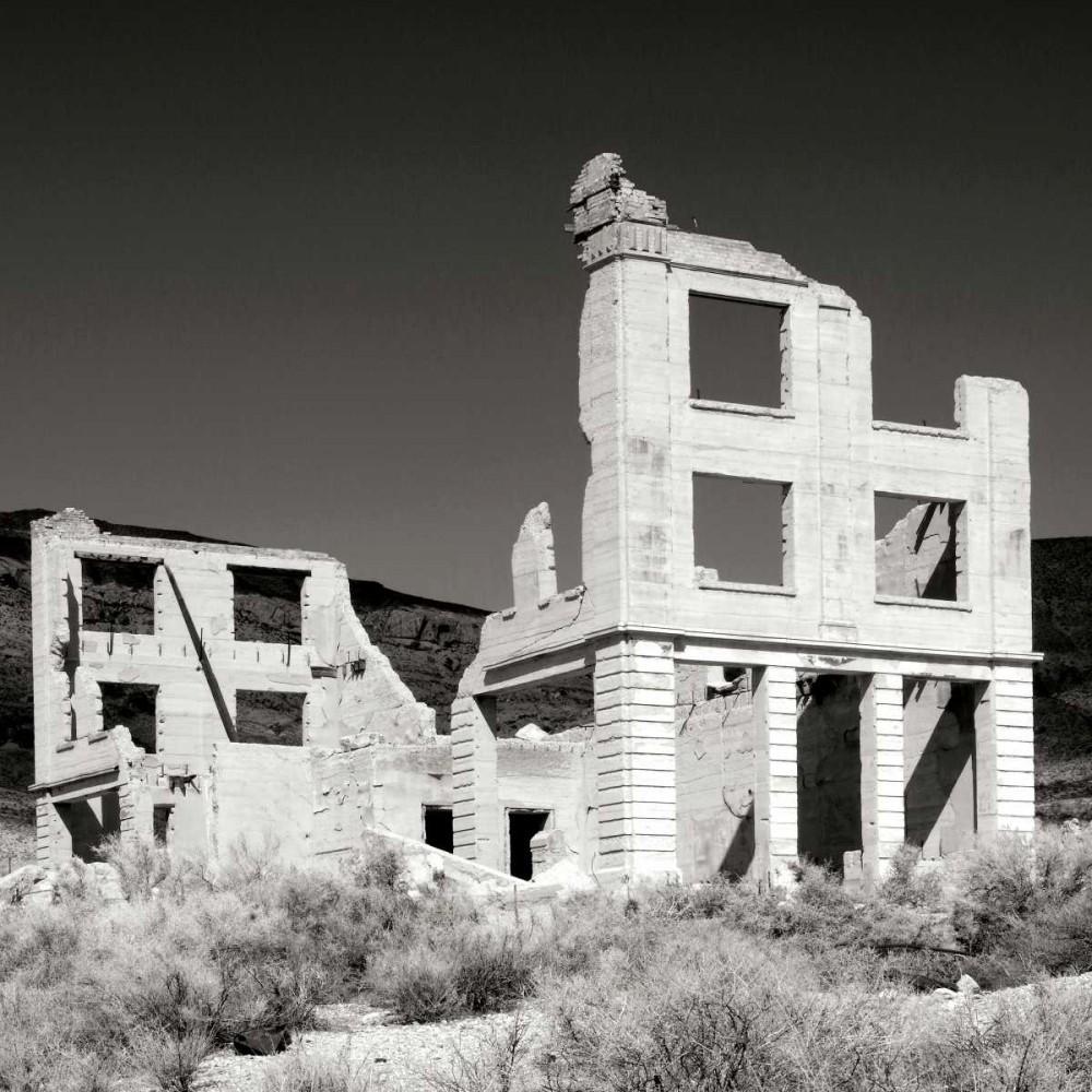 Wall art: Rhyolite Ruin I BW, by Taylor, Douglas