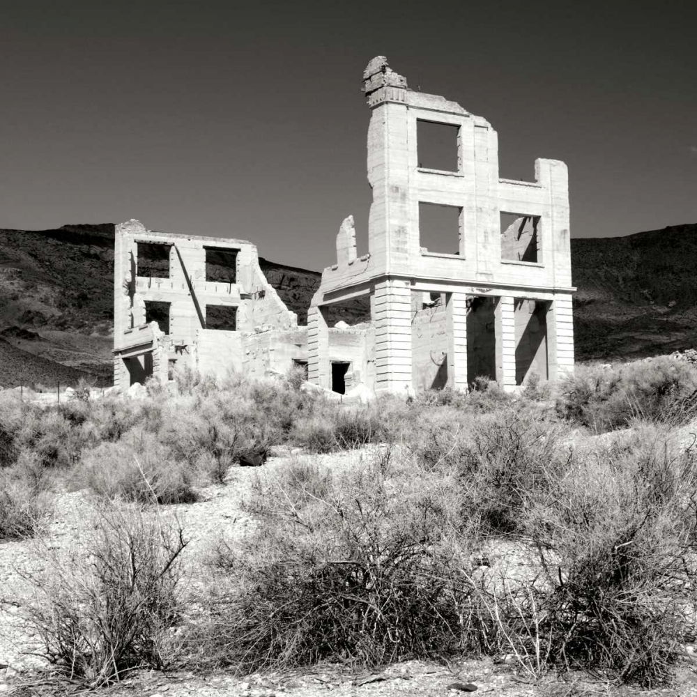 Art Print: Rhyolite Ruin II BW