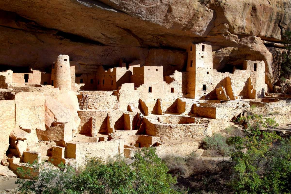 Art Print: Cliff Palace Pueblo