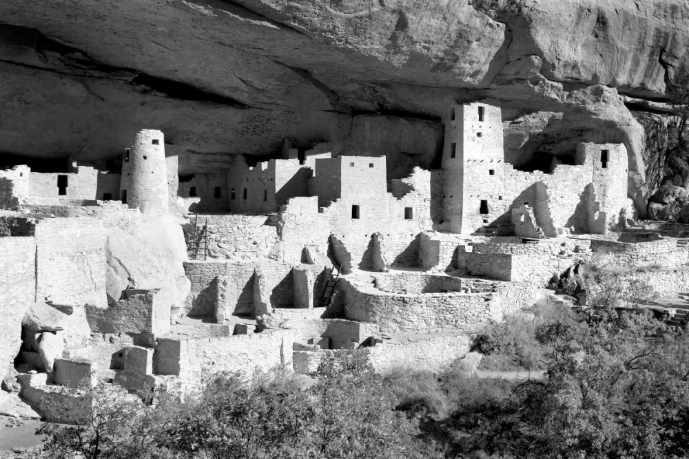 Art Print: Cliff Palace Pueblo BW
