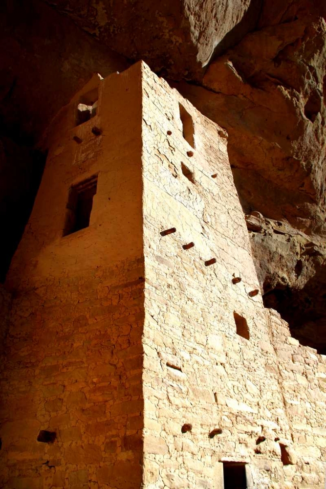Wall Art Painting id:64332, Name: Cliff Palace Detail I, Artist: Taylor, Douglas