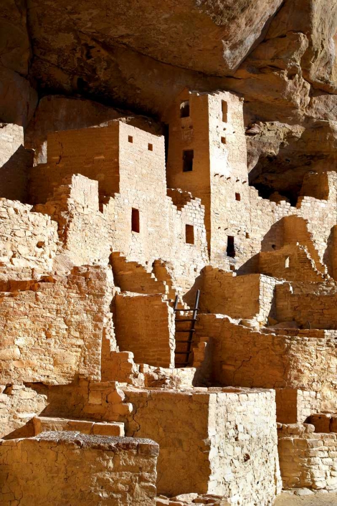 Wall Art Painting id:64335, Name: Cliff Palace Detail IV, Artist: Taylor, Douglas