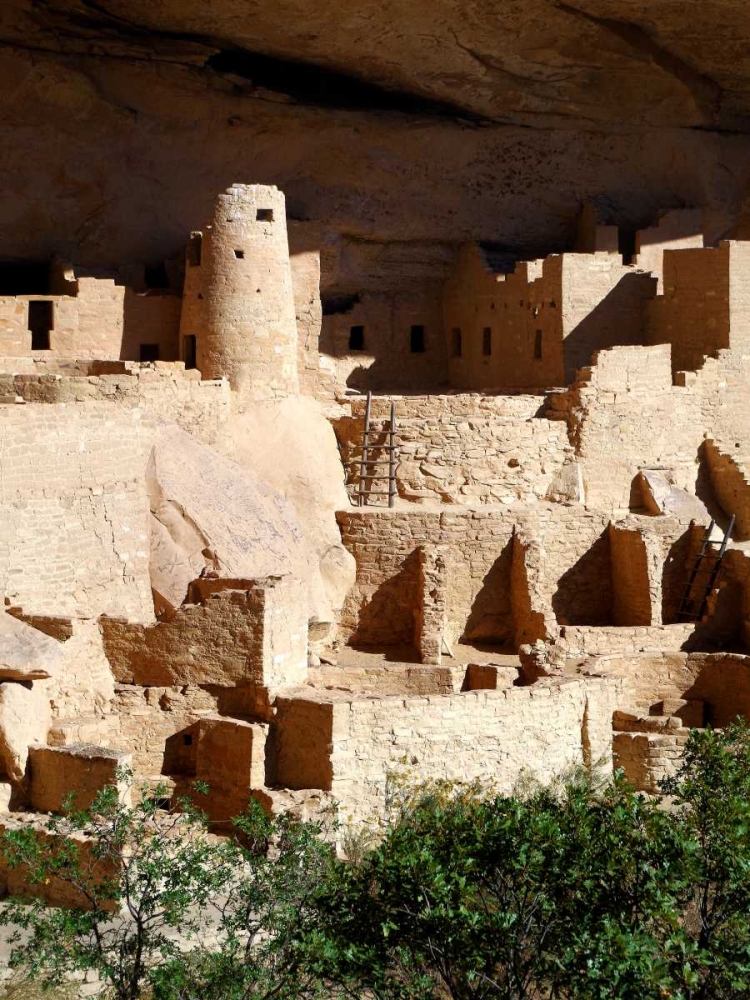Art Print: Cliff Palace Pueblo Portrait