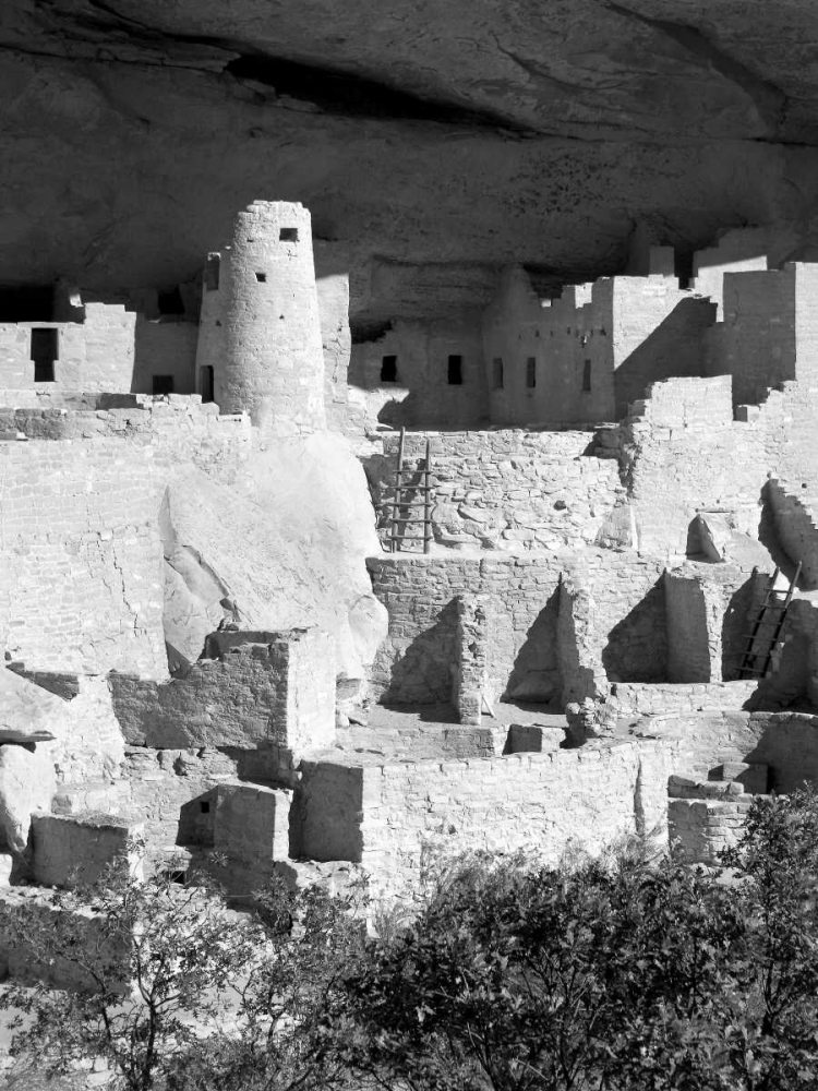 Art Print: Cliff Palace Pueblo Portrait BW