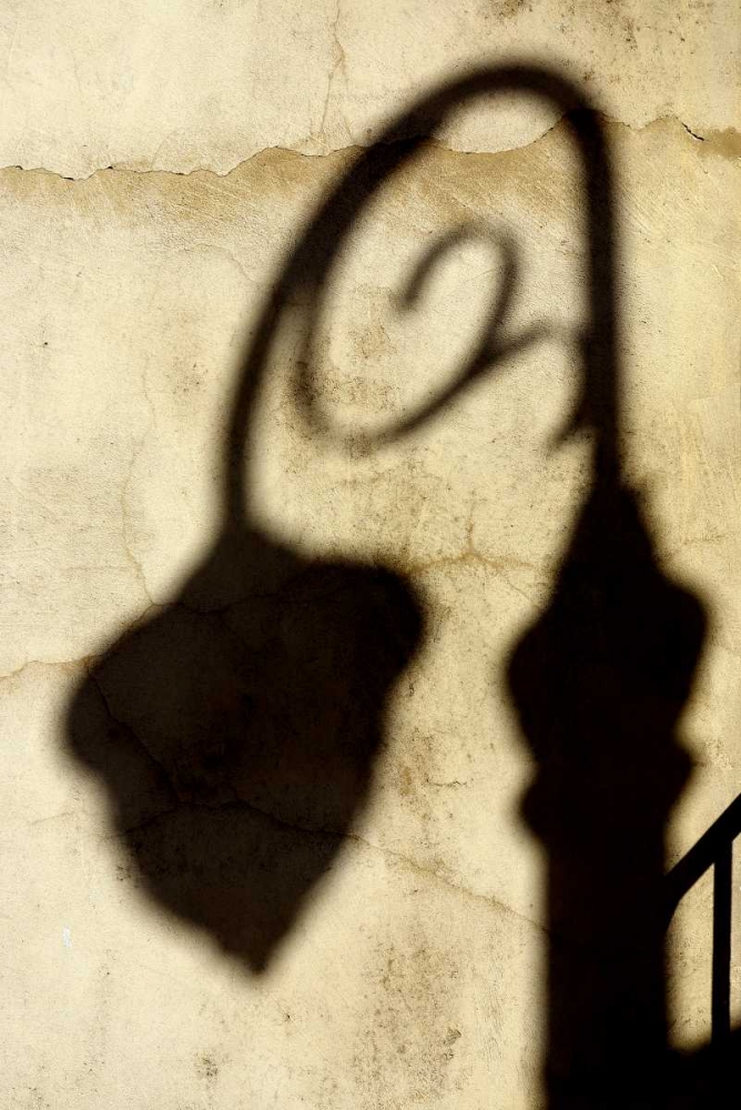 Art Print: Shadow of Light