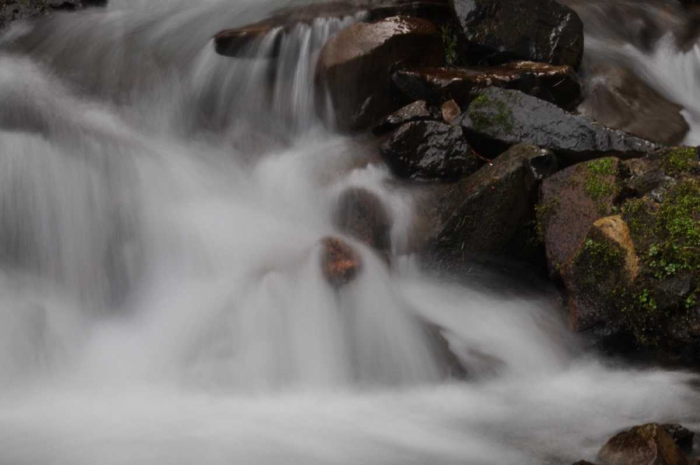 Art Print: Stream Falls I