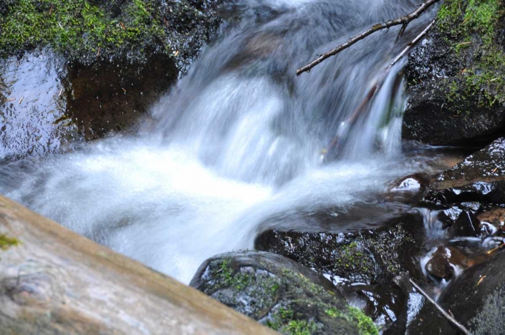 Art Print: Waterfall I